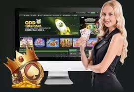 3l bet